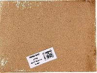 Zarf 24 cm x 32 cm (50'li Paket)